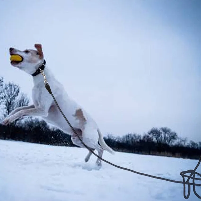 Professional Outdoor Lead (Leash)